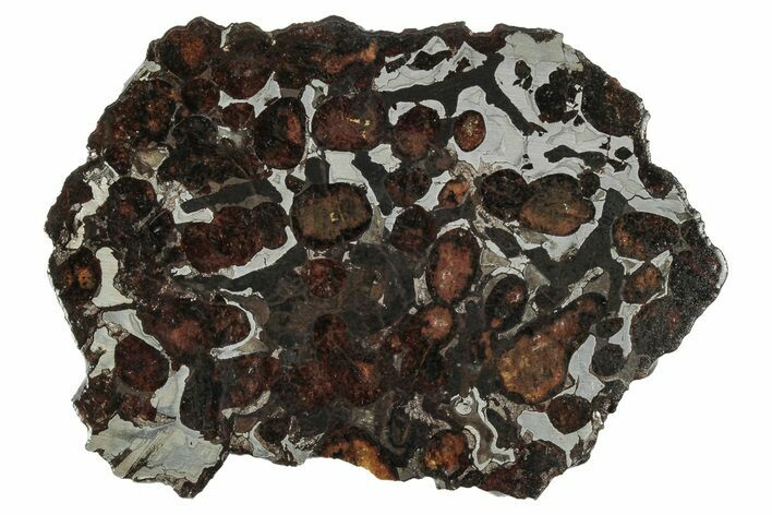 Sericho Pallasite Meteorite ( g) Slice - Kenya #346479